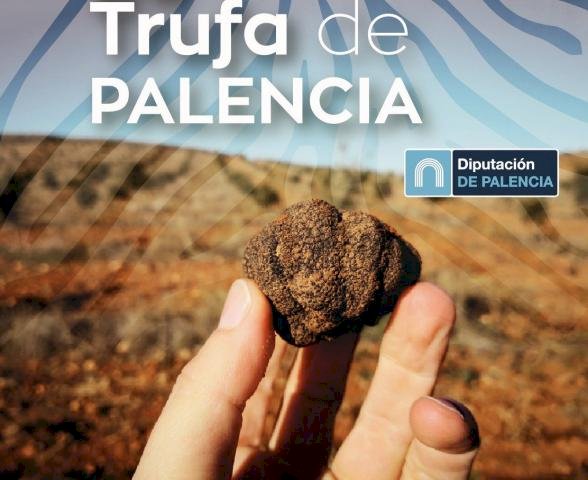 La Diputación de Palencia invierte 15.000€ en la investigación y la difusión de la riqueza micológica