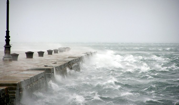 Los fuertes vientos han causado 50 incidencias en la provincia de Cádiz