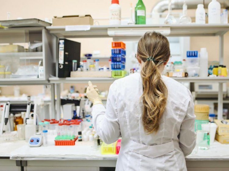 Un nuevo tratamiento contra el cáncer es capaz de reactivar el sistema inmunitario