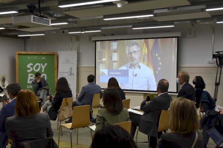 Hugo Morán: “Las ciudades son lugares de intervención idóneos para revertir la pérdida de biodiversidad”