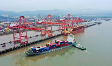 RCEP contributes to global trade, investment growth in past year