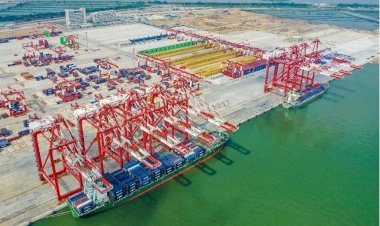 Automation brings higher efficiency, safety to terminal in south China