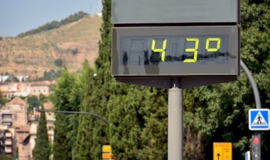 ¿Cómo prevenir los efectos de las altas temperaturas sobre la salud?