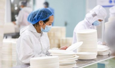 China's Sichuan promotes bamboo as eco-friendly substitute for plastics