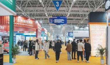 Chinese cross-border e-commerce platforms gain popularity overseas