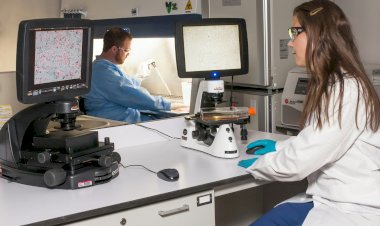 Trece alumnos salmantinos disfrutarán este verano de estancias de inmersión en centros de investigación