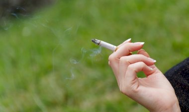 Nuevo Real Decreto para la gestión de los residuos de filtros de tabaco: ¿es suficiente?